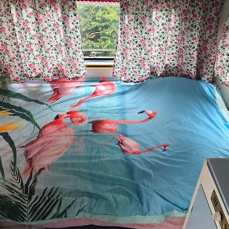 Balistyle Guesthouse Incl Hottub Near Amsterdam And Haarlem Velsen-Zuid Eksteriør bilde