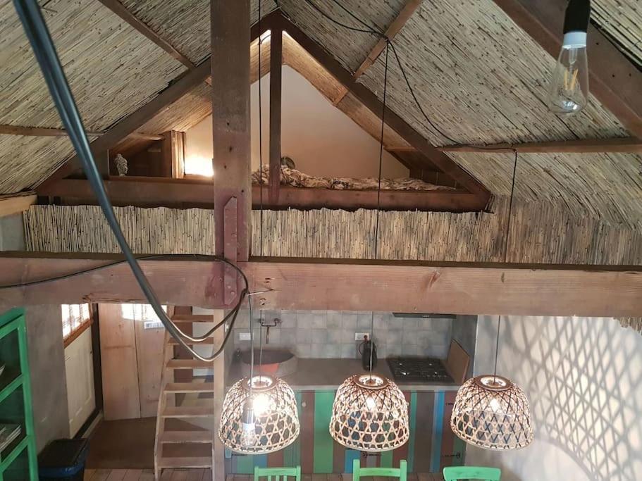 Balistyle Guesthouse Incl Hottub Near Amsterdam And Haarlem Velsen-Zuid Eksteriør bilde