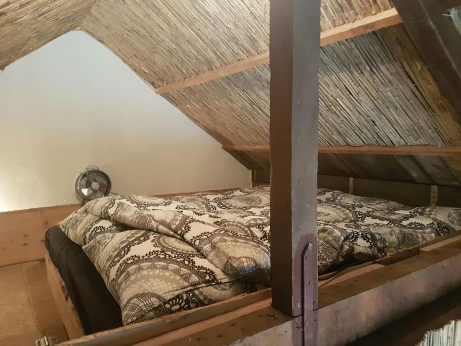 Balistyle Guesthouse Incl Hottub Near Amsterdam And Haarlem Velsen-Zuid Eksteriør bilde